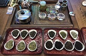 校园文化